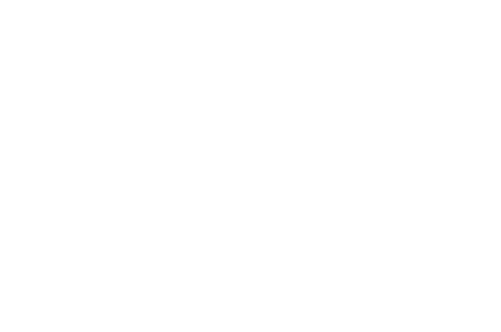 OFFICIAL SELECTION - BronzeLens Film Festival - 2023 (1)
